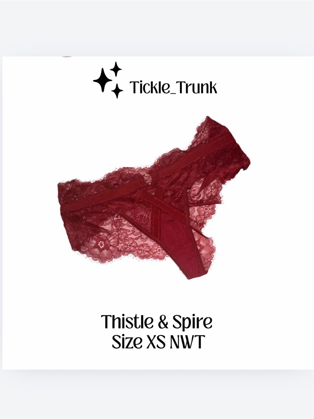 Thistle and Spire XS Lace Bikini Panty NWT